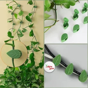 گیره نگهدارنده گل و گیاه